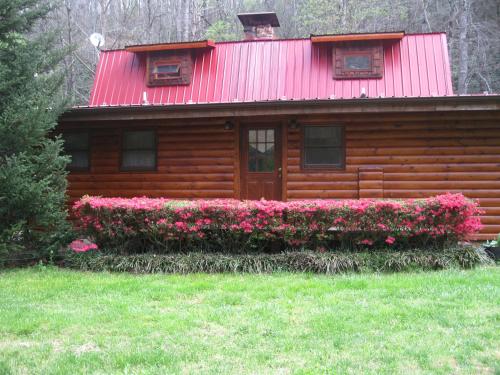 Buffalo Creek Bed and Breakfast - Accommodation - Junction