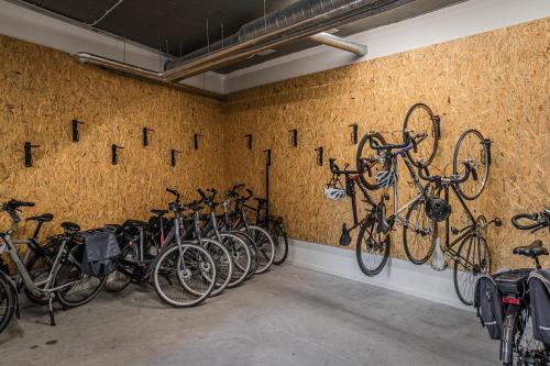 Black Label Hotel Valkenburg - image 12