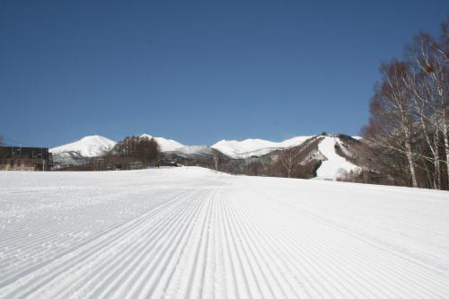 Alpine Inn Mizushiro Matsumoto
