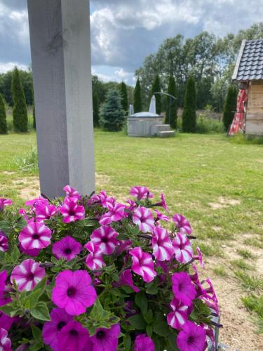 Bajkowe Domki Marzeń Taborecik