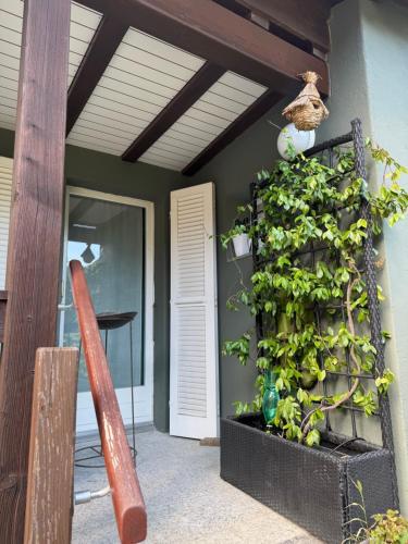 外部景觀, Il Cottage in 克雷斯安諾