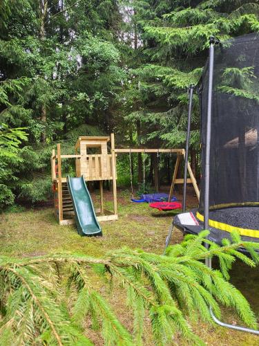 Wolny Las Glamping na Mazurach in Ryn