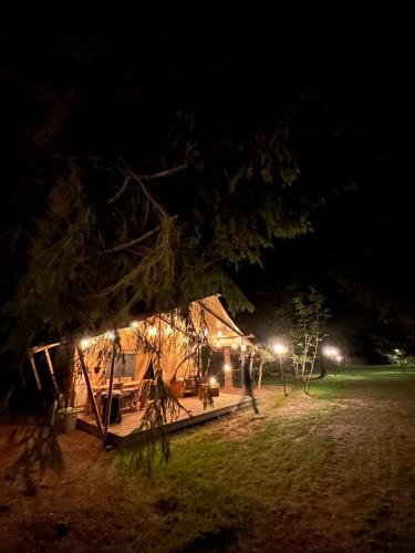 Wolny Las Glamping na Mazurach in Ryn
