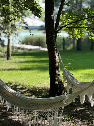 Wolny Las Glamping na Mazurach in Ryn