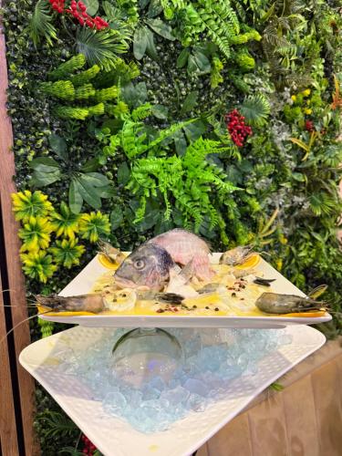 Restaurant, Hotel &Restaurant Meteora in Glauchau