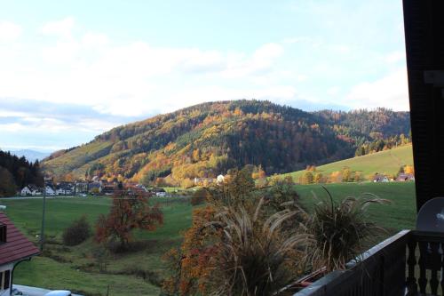 A szálláshely kívülről, Ferienwohnung Talblick, 50qm in Glottertal