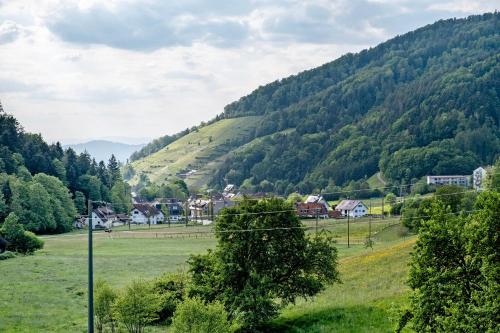 A szálláshely kívülről, Ferienwohnung Talblick, 50qm in Glottertal