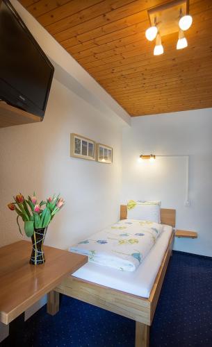 Hotel Alpina - image 12