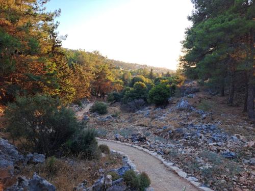 צימס - דירת אירוח עם גינה בגליל, Kefar Weradim (fotografie 7)
