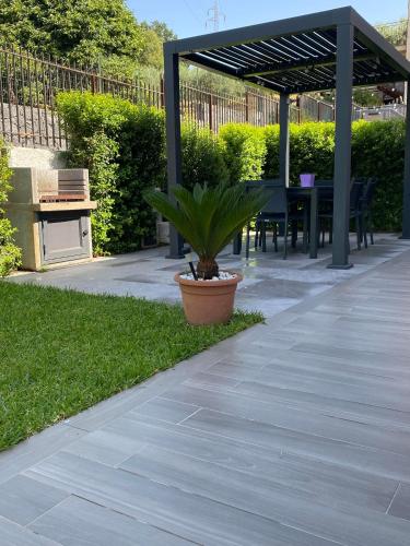 Damar, Giarre (fotografie 2)
