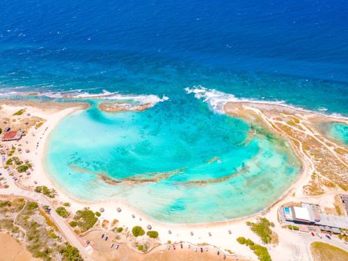 Villa Savannah in Savaneta