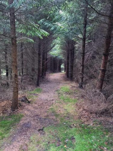 Mysig stuga in อุดเดอะวัลลา