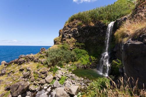 Pura Vida in ลอมบา ดาไมยา