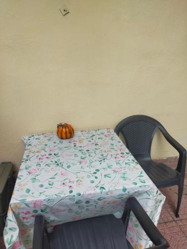 loft indipendente con giardino a Roma Tor vergata, Rzym (zdjęcie 10)