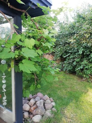 Ferienwohnung Kapitänsblick - image 2