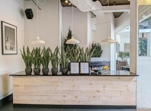 อาหารและเครื่องดื่ม, Confederation Place Hotel in คิงสตัน (ON)