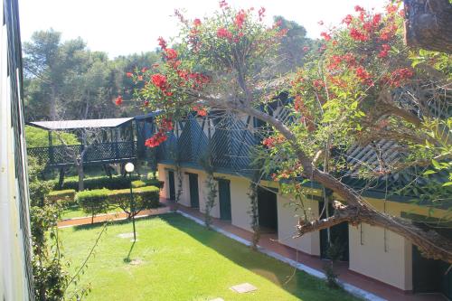 ALIMINI 2 - Casa a 100 mt dal mare- House 100 meteres of the sea in แซรา อลิมินิ