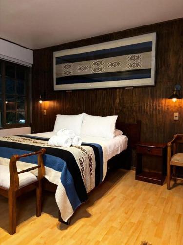 Hotel Boutique WenuPillan