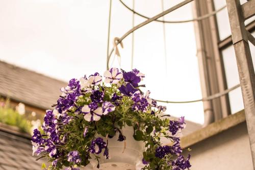 Altstadt Suite Altstadt Suite