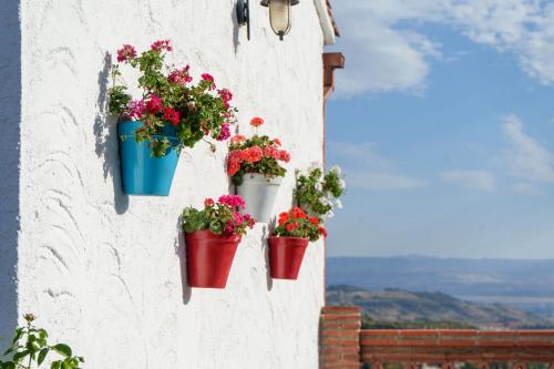 La Luna del sur B&B, Granada (photo 10)