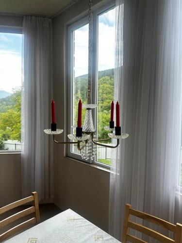 Muse House, Ambrolauri (fotografie 7)