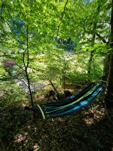 Cabana Padurea Cerbilor in Şoarş