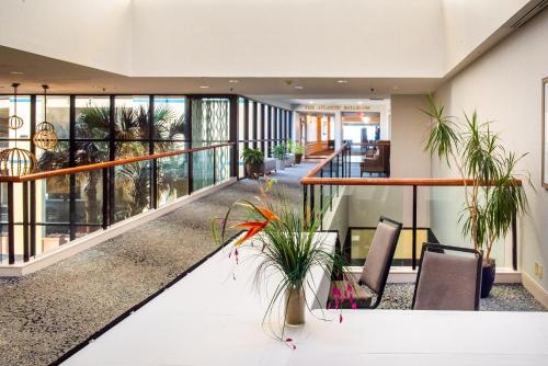 ทัศนียภาพภายนอกโรงแรม, วินด์แฮม เวอร์จิเนีย บีช โอเชียนฟรอนต์ (Wyndham Virginia Beach Oceanfront) in เวอร์จิเนียบีช (VA)