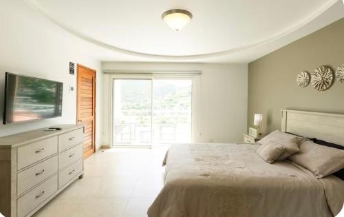 The Grande Nest in South Reward