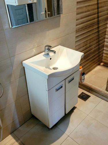 베오그라드 TARAS Hostel 호텔 레스토랑