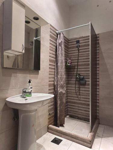 베오그라드 TARAS Hostel 호텔 스위트룸