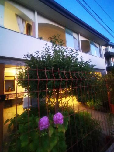 Апартамент Созополски Залез, Sozopol (foto 10)