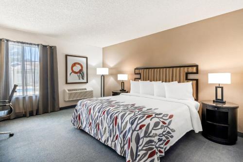 1 king bed