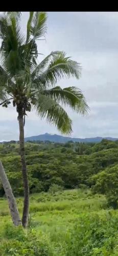 Lavusa, Nadi (fotografie 7)