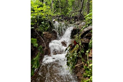 Streamside Haven at 70 Acres Valley Retreat in Breezewood