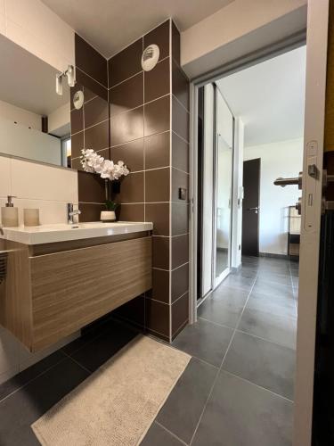 Ibis studio 2, Cayenne (foto 7)
