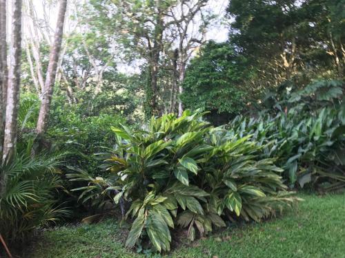 La Serenidad in Tronadora
