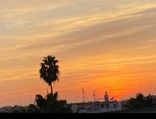 Sunset rooftop Rabat Sale Airport in 벨 아루시