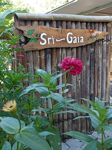 Wyposażenie, Sri Gaïa Yogyakarta (Sri Gaia Yogyakarta) near Imogiri Kings Cemetery