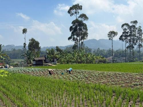 Stay and Farm Hostel in Ciwidey