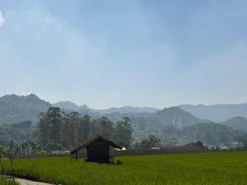 Stay and Farm Hostel in Ciwidey