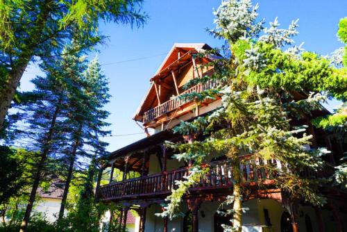 Pensiunea Perla Maramuresului - Hotel - Borsa