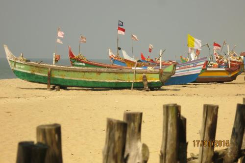 Marari Secret Beach Yoga & Kalarippayattu Homestay - image 3