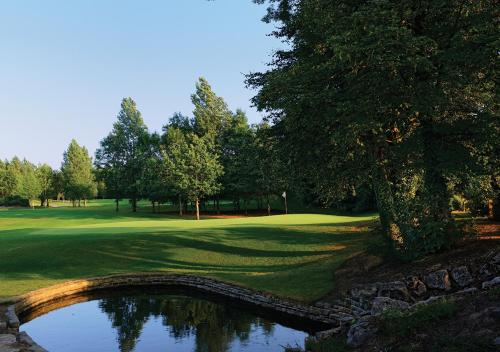 Vale Resort - image 7