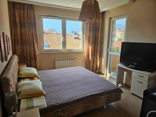 Bright and spacious apartment with panoramic views, Sofie (fotografie 3)