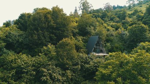 Γύρω περιβάλλον, In Green in Kvariati