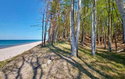 Viesnīcas āriene, Stunning Home In Wytowno With Wifi in Wytowno