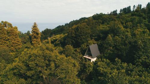 Γύρω περιβάλλον, In Green in Kvariati