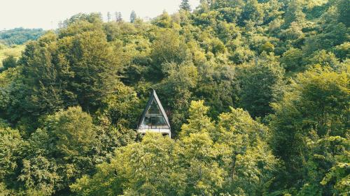 Γύρω περιβάλλον, In Green in Kvariati