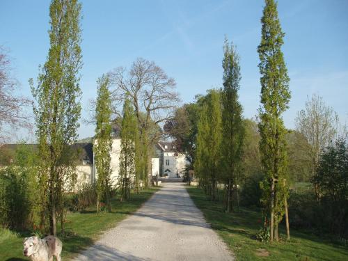Burg Boetzelaer - image 7