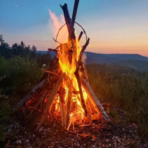 Omgeving, Casa Ponors Eden in Valea Manastirii